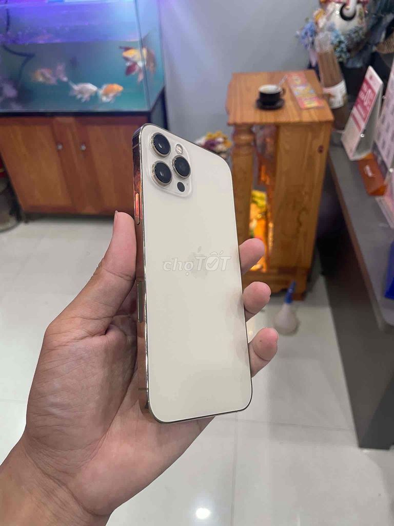Apple iPhone 12 Pro Max Vàng. Mua bán Điện thoại tại Thành phố Buôn Ma Thuột Đắk Lắk được đăng bởi 6E_9 võ phú hưng hình 1