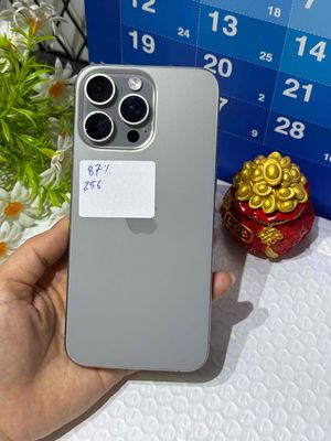 iPhone 15 Pro Max 256GB LL/A