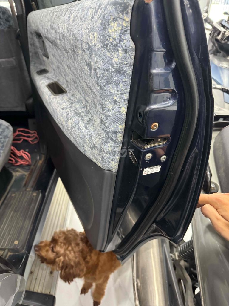 Toyota Zace 2003 GL - 150000 km. Mua bán Ô tô tại Thành phố Bến Tre Bến Tre được đăng bởi Nguyễn Lê Phước Đạt hình 8