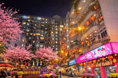BÁN CHCC NGÔ TẤT TỐ SHR 2PN 4.1 TLUONG