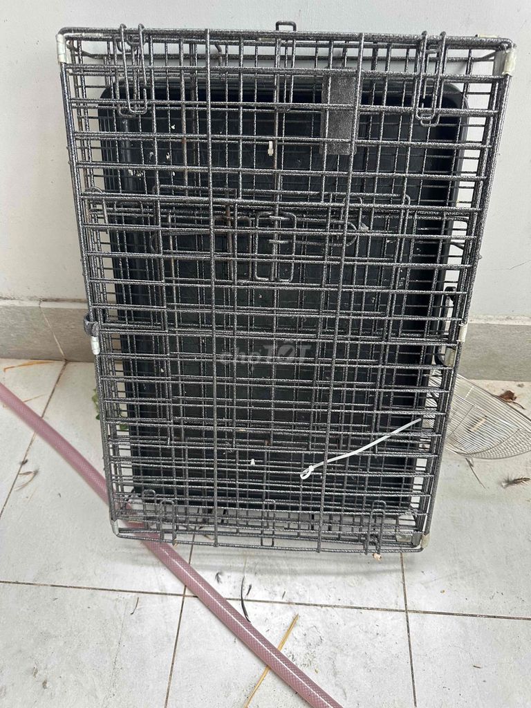 Lồng vận chuyển chó mèo Size M hàng mới. Mua bán Phụ kiện, Thức ăn, Dịch vụ tại Quận Phú Nhuận Tp Hồ Chí Minh được đăng bởi Long Long hình 1