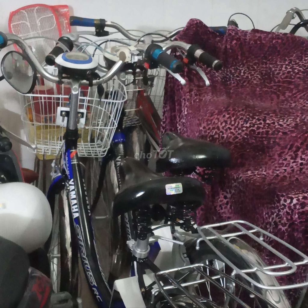 Cần bán - Xin kính mời.. Du lịch tại Thành phố Long Xuyên An Giang được đăng bởi Thanh Nhã hình 4