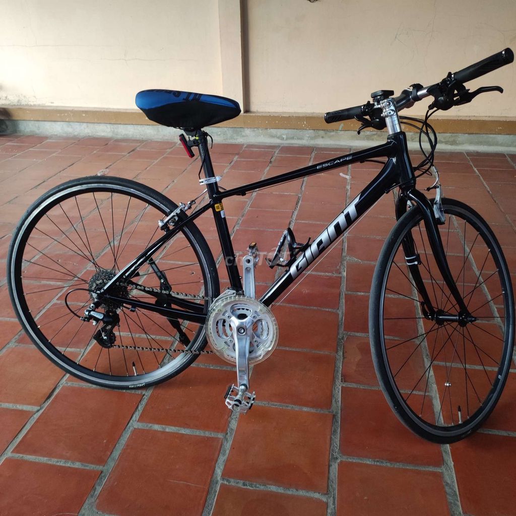 Bán xe Giant