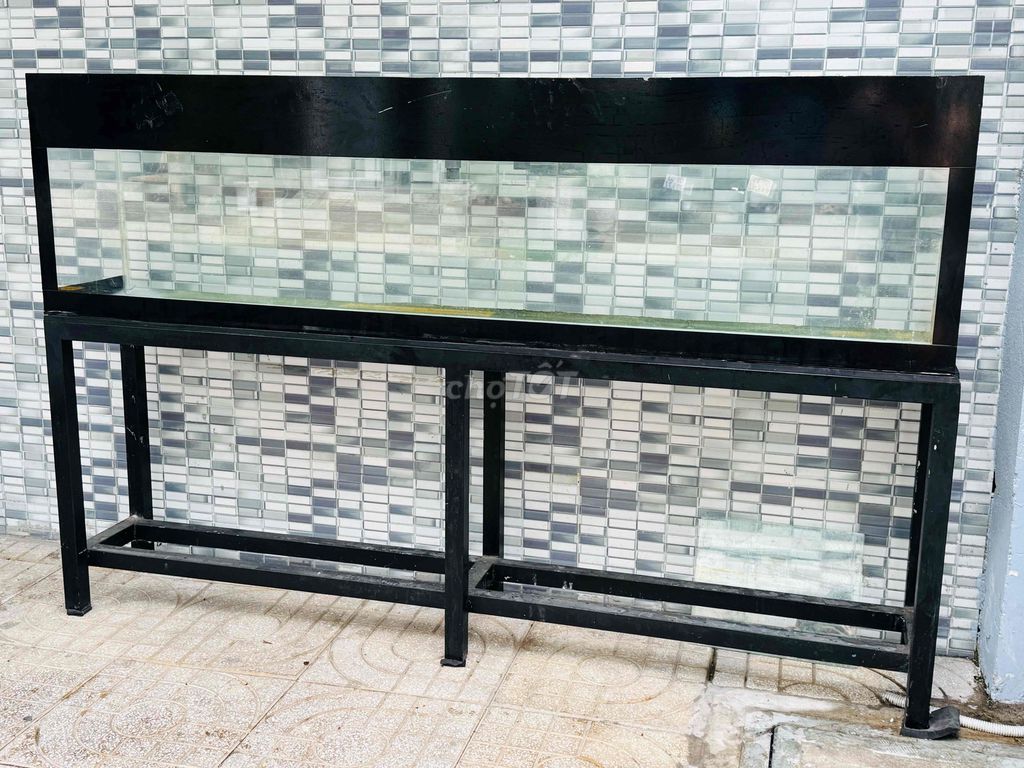 Thanh lý bộ hồ full kính 8li. Mua bán Thú cưng khác tại Quận Tân Phú Tp Hồ Chí Minh được đăng bởi ken hình 1