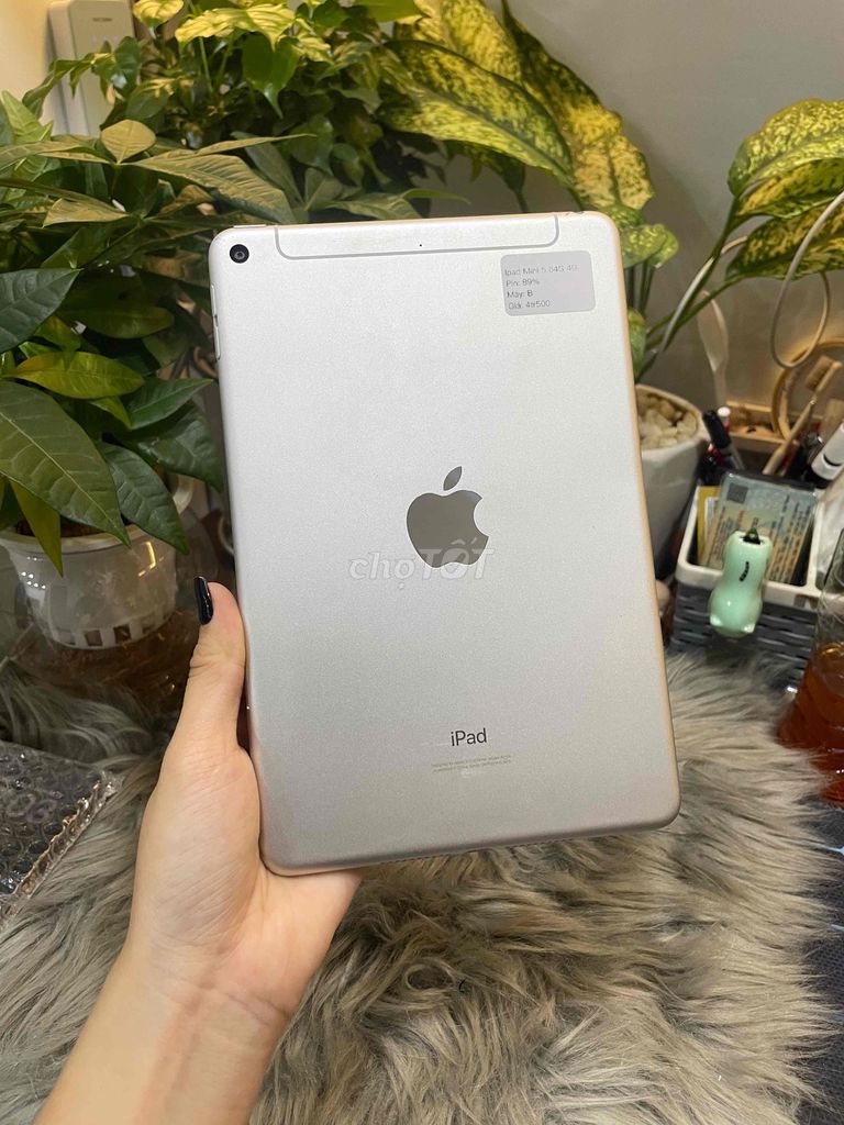 iPad Mini 5 64GB 4G Trắng Zin full Pin 89%. Mua bán Máy tính bảng tại Huyện Hóc Môn Tp Hồ Chí Minh được đăng bởi Luân Hoài hình 1