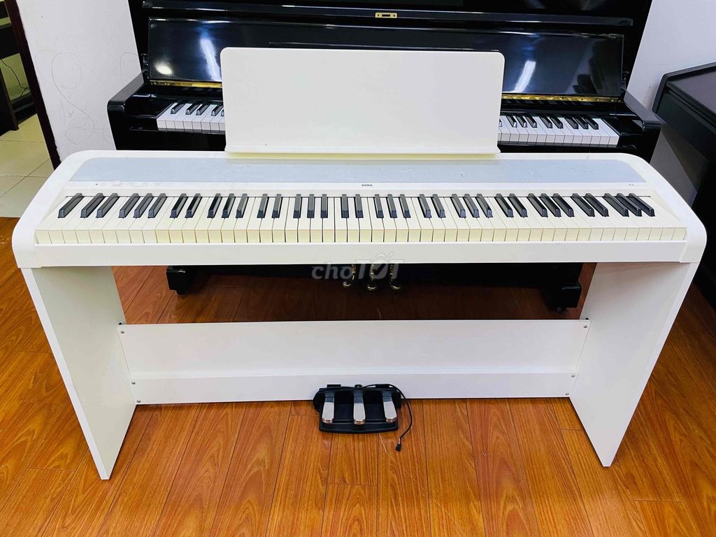 piano korgb B2 sx 2020 japan