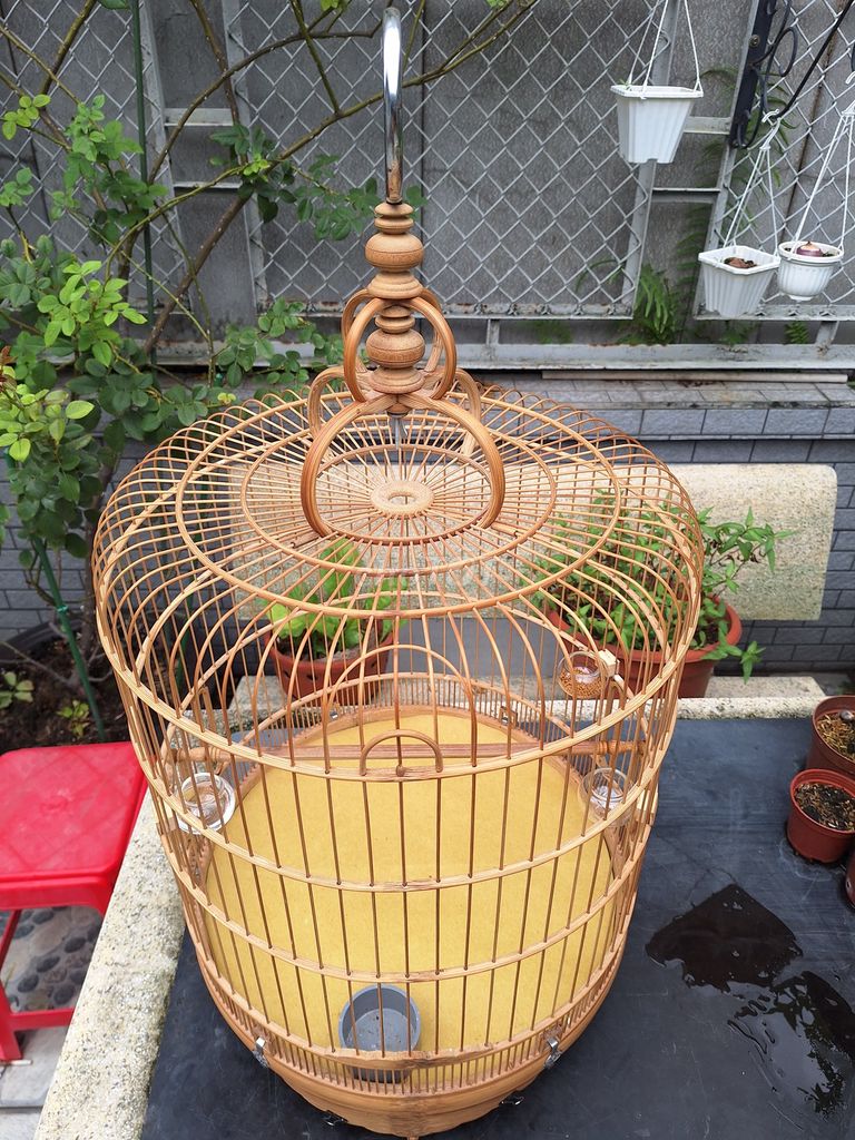 Lồng chim Tre Biên Hòa 68 nan Nâu. Mua bán Phụ kiện, Thức ăn, Dịch vụ tại Thành phố Thủ Đức Tp Hồ Chí Minh được đăng bởi Lê Anh hình 1
