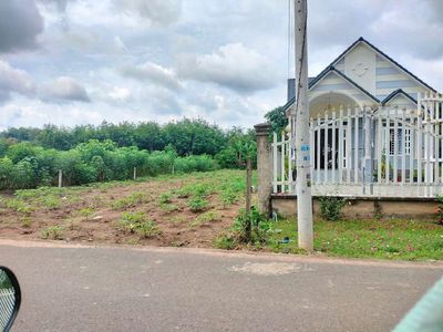 LÔ ĐẤT VÀNG 1000M2 MẶT TIỀN NHỰA PHÍA SAO CÓ SUỐI. Mua bán đất tại Huyện Phú Giáo Bình Dương được đăng bởi Châu Đăng Khoa