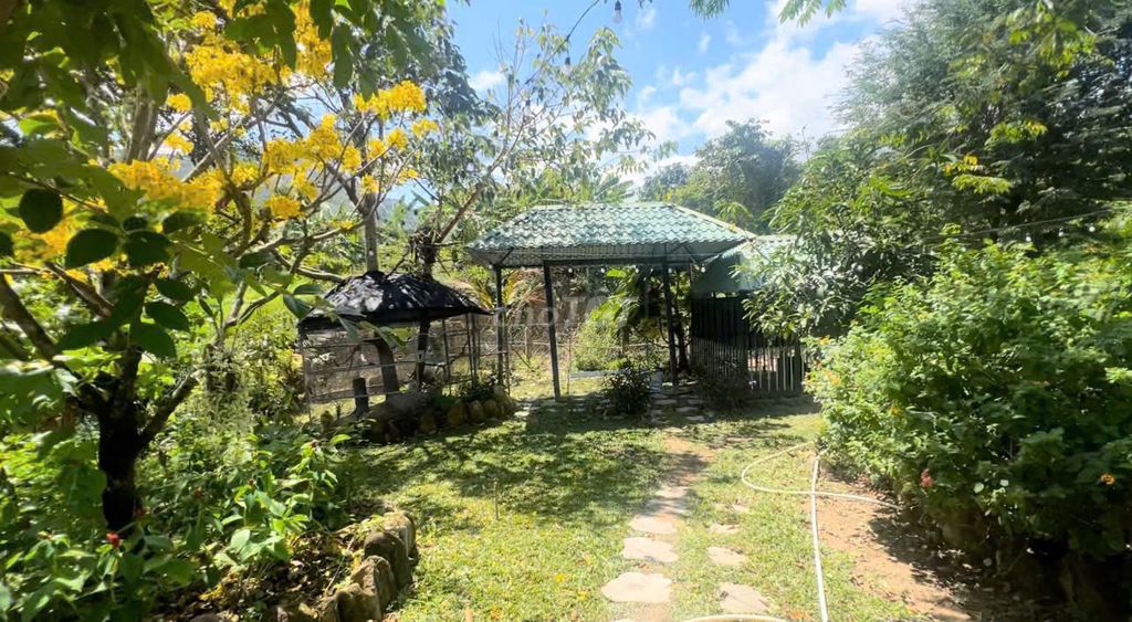Cho thuê nhà vườn Phước Đồng 2.000m² – Giá 19 triệu/tháng