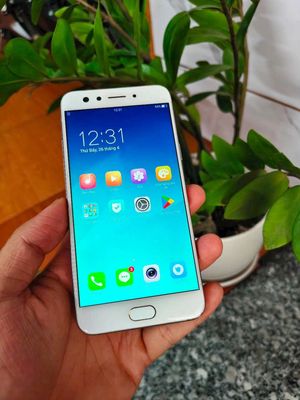 Oppo F3 4/64gb full chức năng bán Giao Lưu. Mua bán Điện thoại tại Quận Bình Tân Tp Hồ Chí Minh được đăng bởi Tân Phạm