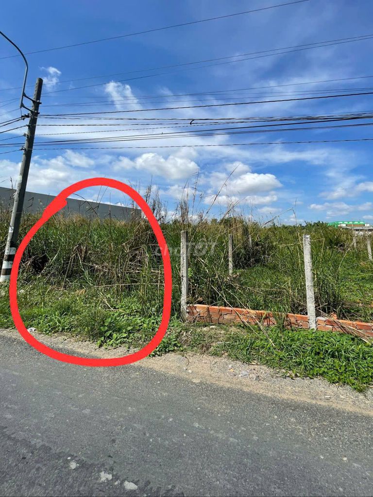 Bán 164m2 thổ cư đường nhựa 6m, 2 lô đất vườn đường đá 4m, Cần Giuộc