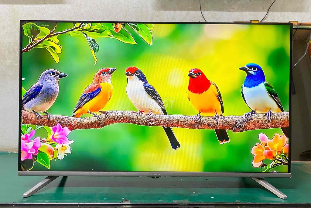 Tivi SKYWORTH 40 inch Đã sử dụng. Mua bán Tivi, Âm thanh tại Quận Hoàng Mai Hà Nội được đăng bởi Bảo Hiền hình 1
