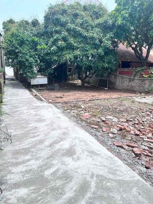 chính chủ bán lô đất thông đông thái giá rẻ nhất khu vực. Mua bán đất tại Huyện Thường Tín Hà Nội được đăng bởi Thành Đạt