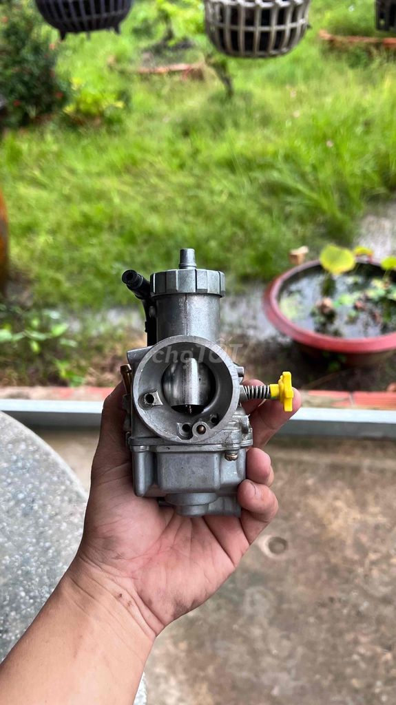 Bình Bông mai và pô e bông mai. Mua bán Phụ tùng xe tại Huyện Cai Lậy Tiền Giang được đăng bởi Thắng Nguyễn hình 3