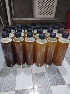 Mật ong nguyên chất 500ml. Mua bán Đồ ăn, thực phẩm và các loại khác tại Huyện Trà Ôn Vĩnh Long được đăng bởi Nguyễn Thái