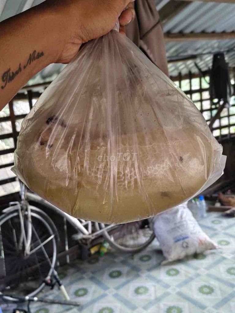 Mật ong rừng mật trắng 1l. Mua bán Đồ ăn, thực phẩm và các loại khác tại Huyện Cầu Ngang Trà Vinh được đăng bởi Kiệt Gia hình 1
