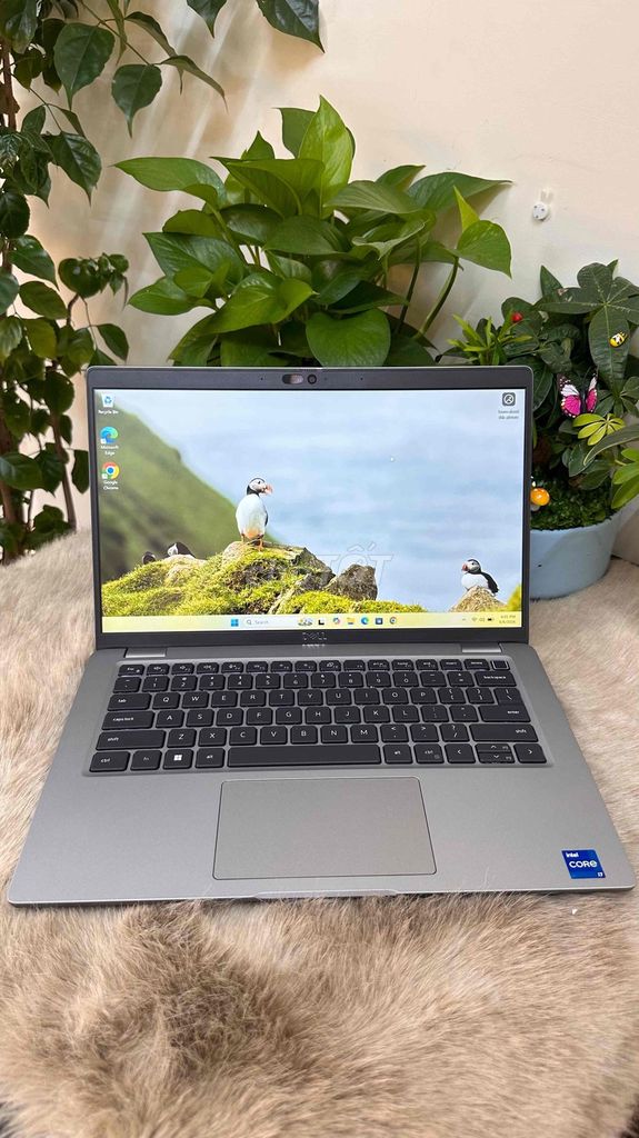 Dell Latitude 5440 i7-1355U 14 inch keng BH 12th. Mua bán Laptop tại Quận 1 Tp Hồ Chí Minh được đăng bởi PT Store Q5 HCM hình 1