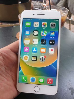 iPhone 8 Plus 64G Màn zin bin 100%100