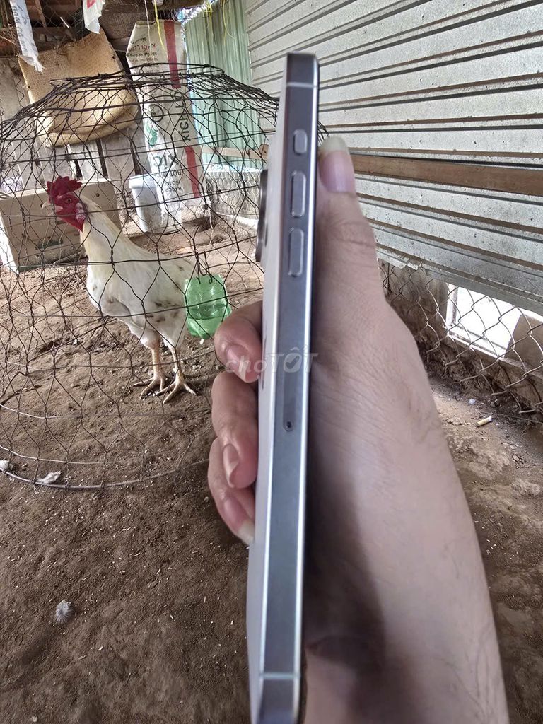 Apple iPhone 15 Pro Max 256GB Trắng. Mua bán Điện thoại tại Thành phố Châu Đốc An Giang được đăng bởi le tiny hình 1