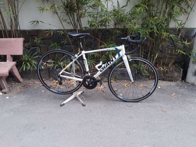 Xe GIANT PUỘC CARBON .SHIMANO ULTEGRA. Mua bán Xe đạp tại Quận 12 Tp Hồ Chí Minh được đăng bởi ngoc van nguyenn