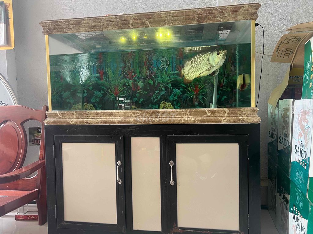 Minh ko co thoi gian nuoi. Mua bán Chó tại Huyện Long Thành Đồng Nai được đăng bởi Dang Nhan  hình 3