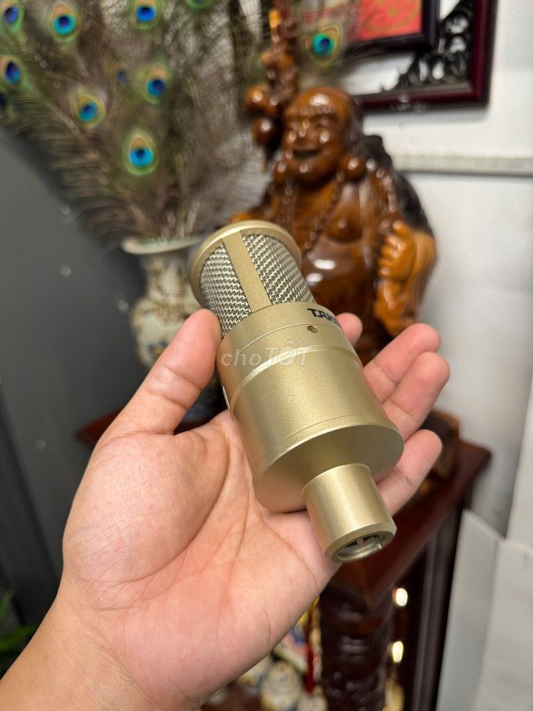 Microphone Takstar PC-K200 Vàng đồng đã sử dụng. Mua bán Tivi, Âm thanh tại Quận Tân Bình Tp Hồ Chí Minh được đăng bởi Quý Xuân hình 1