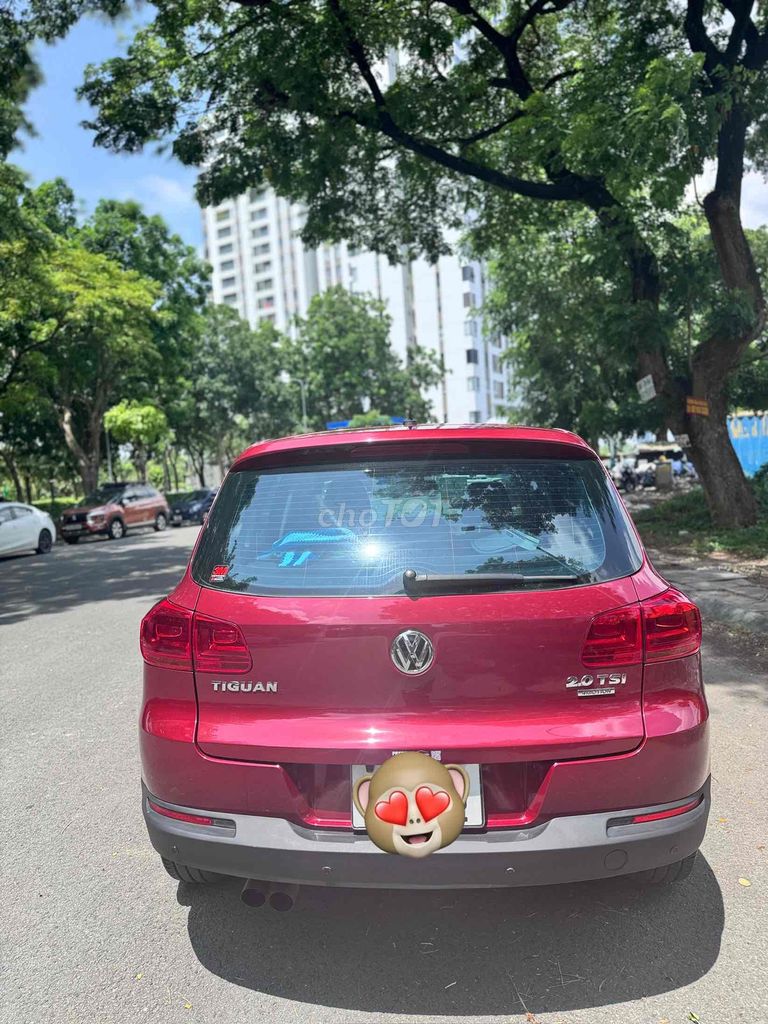 Ảnh số 5
