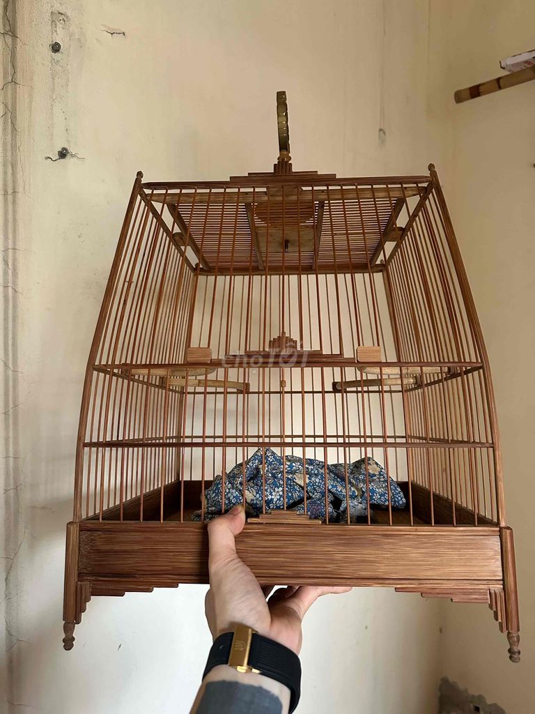 Lồng thái chào mào. Mua bán Phụ kiện, Thức ăn, Dịch vụ tại Quận Hoàng Mai Hà Nội được đăng bởi nguyen duy luu hình 1