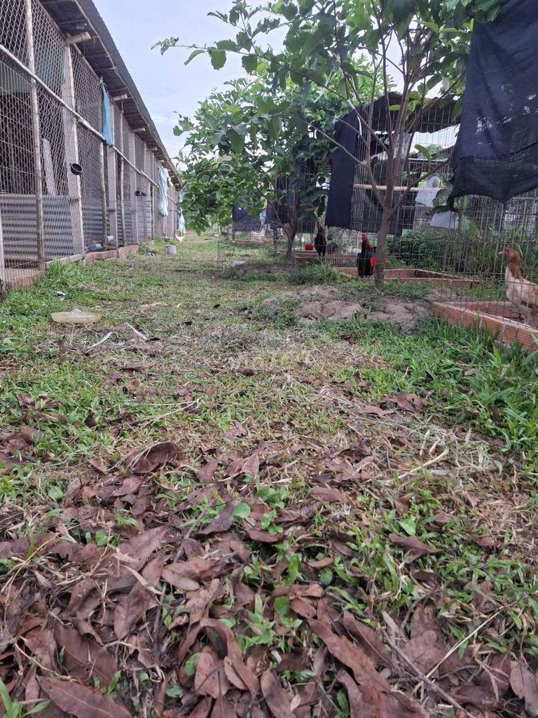 nhà ở và đất thích hợp nghĩ dưỡng 