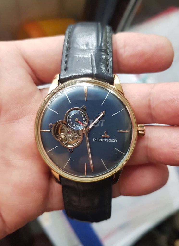 Đồng hồ tự động Đức REEF TIGER CAL.3900 mạ vàng. Mua bán Đồng hồ tại Quận 3 Tp Hồ Chí Minh được đăng bởi ANH hình 1