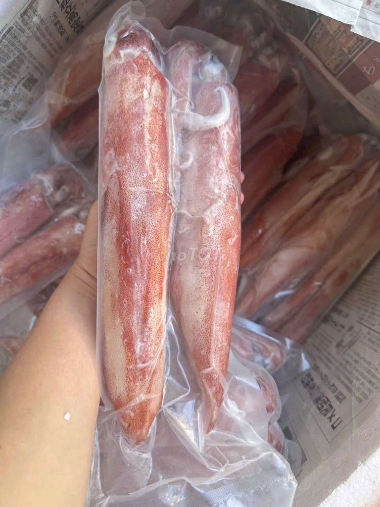 Mực lá 600-700g/con Cấp đông. Mua bán Đồ ăn, thực phẩm và các loại khác tại Quận Sơn Trà Đà Nẵng được đăng bởi Hải Sản Tươi Sống  hình 1