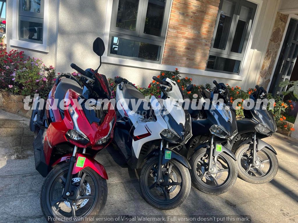 Thuê Xe Máy Tây Ninh Giá Rẻ Uy Tín Giao Trong Ngày. Dịch vụ tại Thành phố Tây Ninh Tây Ninh được đăng bởi Đặng Lý Bằng hình 1