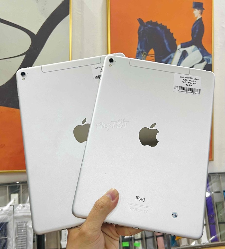 ipad Pro 9.7in 32G Wifi + 4G silver bạc pin 9x 100