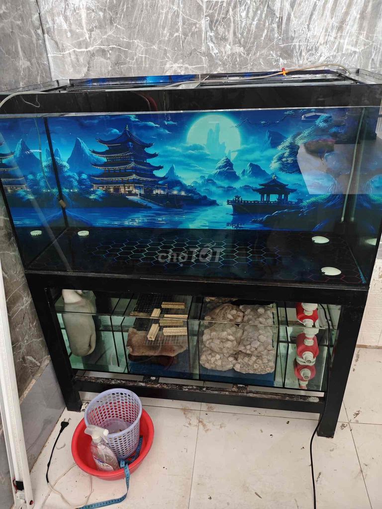 hồ lọc tràn dưới full 8 li 1m1x50x55. Mua bán Phụ kiện, Thức ăn, Dịch vụ tại Thành phố Vĩnh Long Vĩnh Long được đăng bởi Đỉnh Nguyễn hình 1