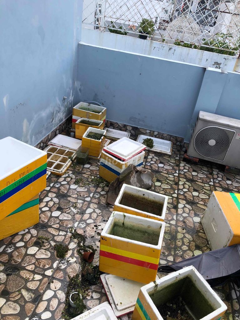 Mình chuyển trọ nên cần thanh lý dụng cụ nuôi cá
