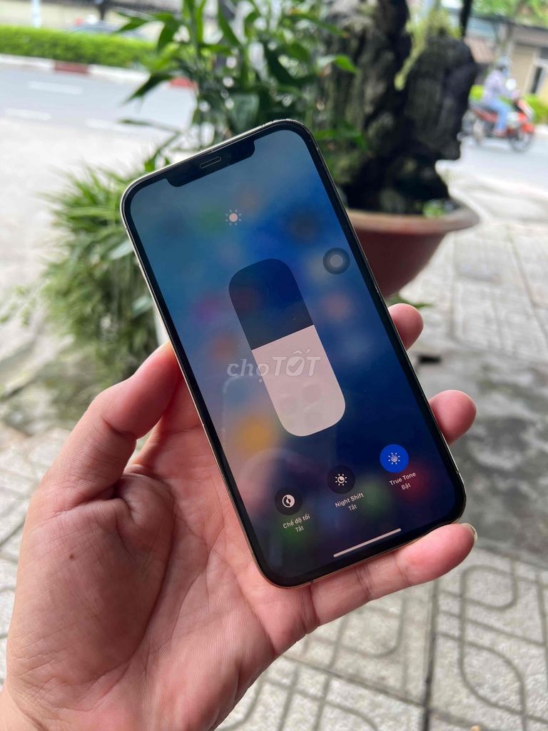 Iphone 12 pro max 256Gb pin 100% đẹp 98% 2 sim