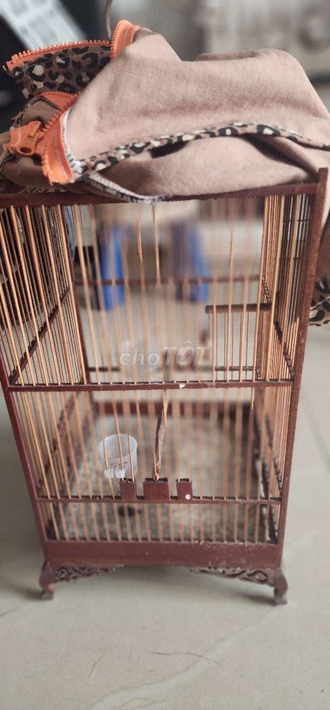 Lồng chim gỗ màu Nâu. Mua bán Phụ kiện, Thức ăn, Dịch vụ tại Quận 11 Tp Hồ Chí Minh được đăng bởi Phúc Ưng hình 1