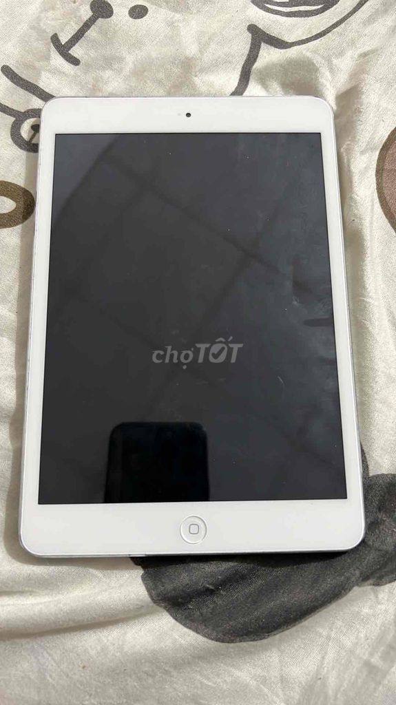 ipad mini 2