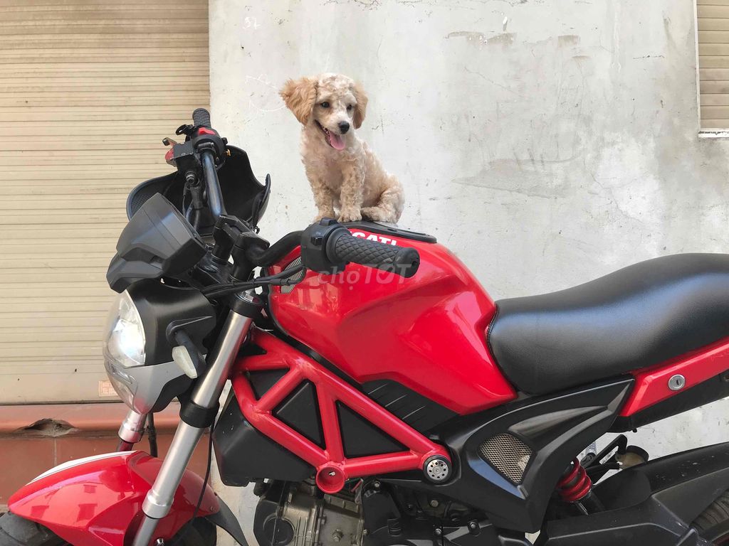 pass em xe. Mua bán Xe máy tại Quận 7 Tp Hồ Chí Minh được đăng bởi Minh Lê BĐS hình 2