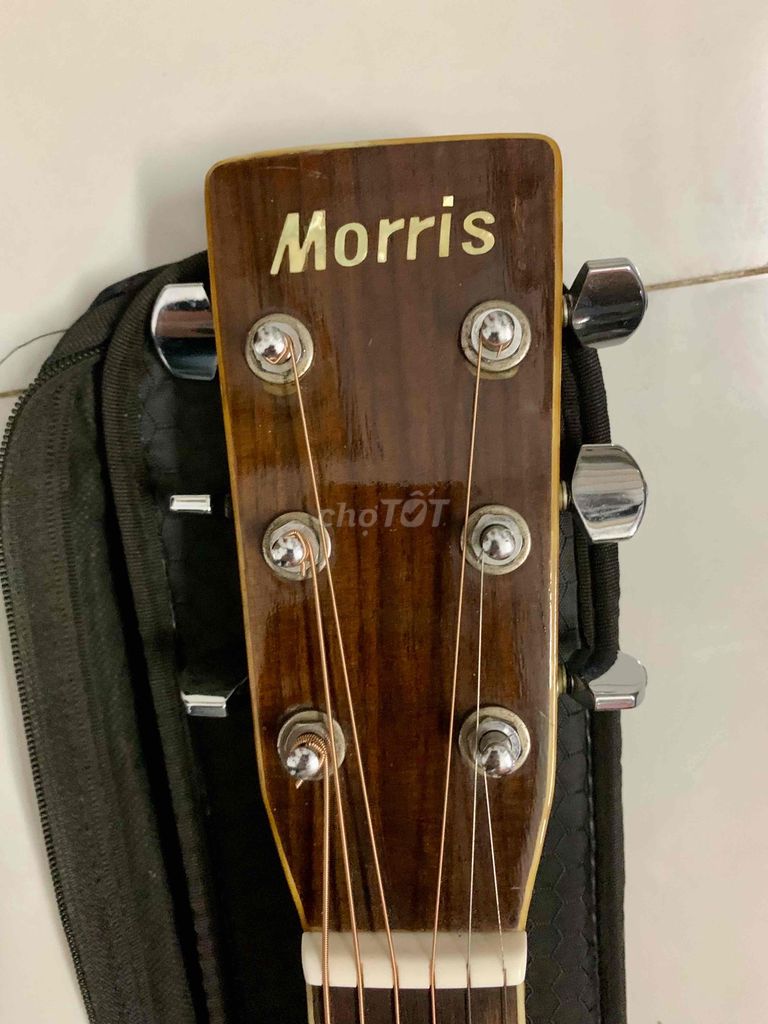 GUITAR MORRIS W-30 TẠI TPHCM