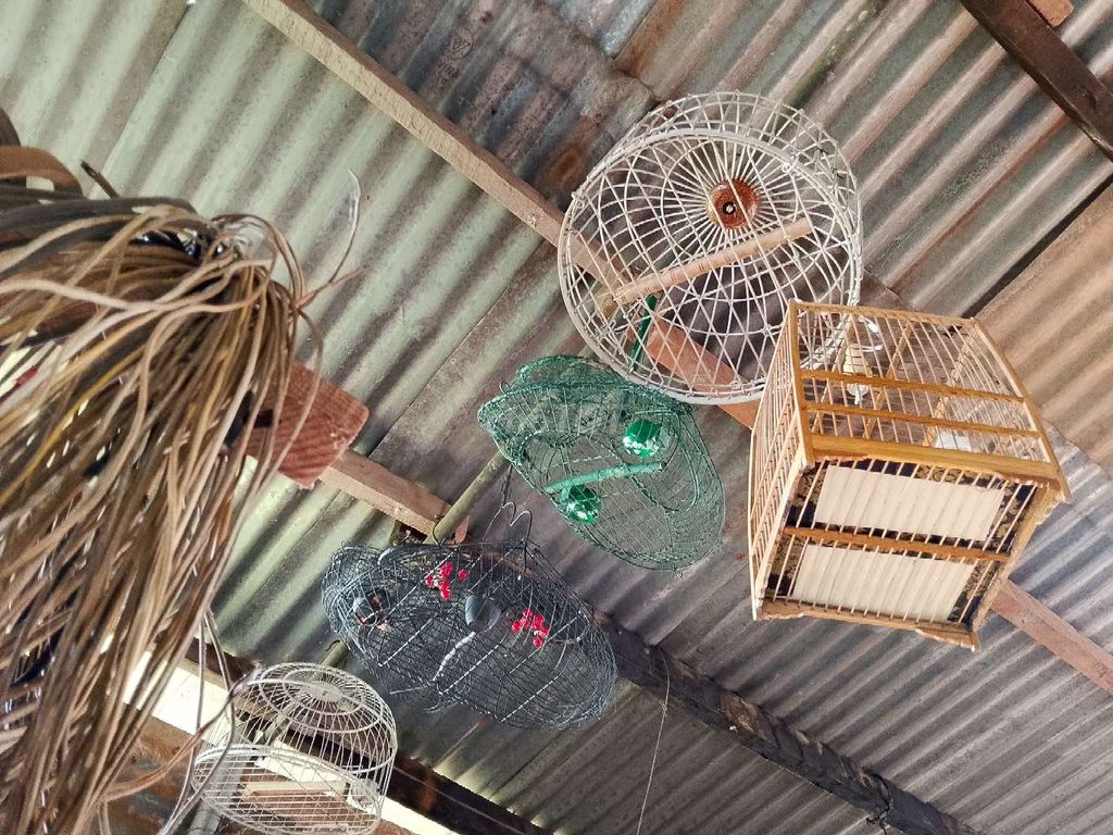 Lồng các loại. Mua bán Phụ kiện, Thức ăn, Dịch vụ tại Huyện Di Linh Lâm Đồng được đăng bởi RẺ VÔ ĐỐI hình 1