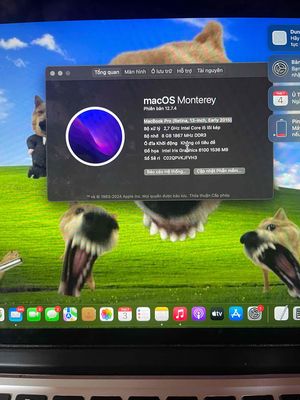 PASS NHANH GỌN LẸ KHÔNG DÙNG. Mua bán Laptop tại Thành phố Buôn Ma Thuột Đắk Lắk được đăng bởi Ấn Ấn