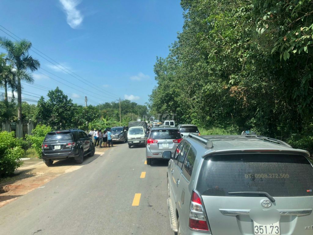 Bán đất 1387m đang trồng cao su hơn 6năm ra đường nhựa Nam Lộ chỉ 400m