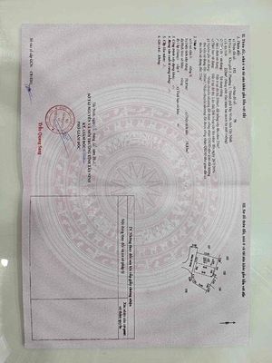 Giảm Mạnh Căn Nhà  220m2 hẻm 209 CMT8, KP3,P1, Tp Tây Ninh. Mua bán nhà ở tại Thành phố Tây Ninh Tây Ninh được đăng bởi Gia Tuấn