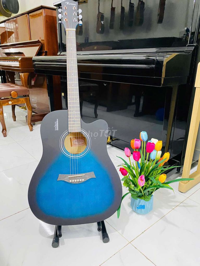 Guitar acoustic Rosen siêu rẻ