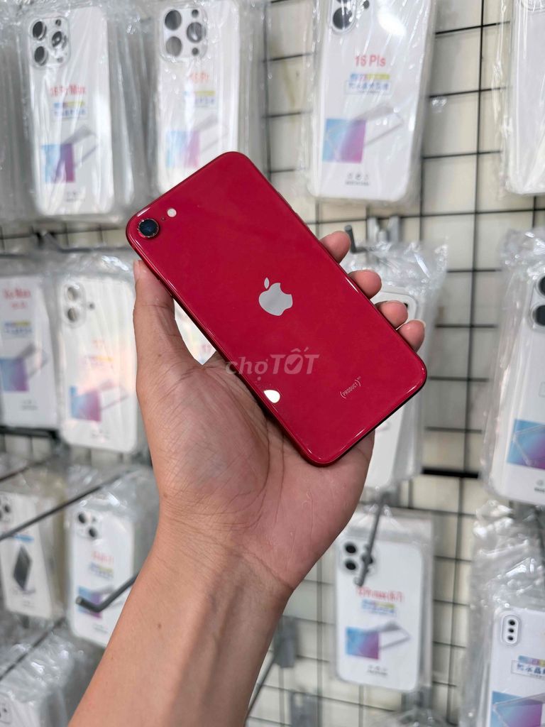 Apple iPhone SE 2020 Đỏ 256GB. Mua bán Điện thoại tại Huyện Châu Đức Bà Rịa - Vũng Tàu được đăng bởi Lê Quang Sáng hình 1