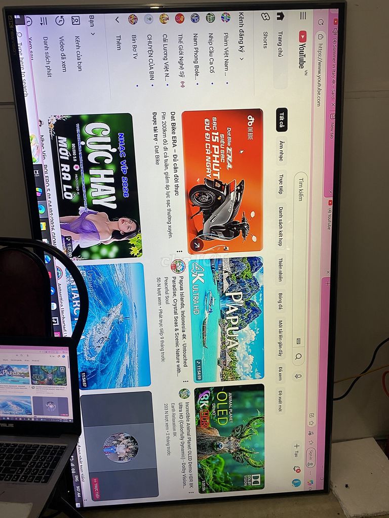 Tivi ASANZO 65in  cường lực độ phân giải 4k đẹp . Mua bán Tivi, Âm thanh tại Quận 6 Tp Hồ Chí Minh được đăng bởi Quang hình 1