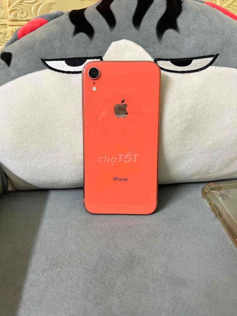 iPhone XR 64GB Cam. Mua bán Điện thoại tại Quận 7 Tp Hồ Chí Minh được đăng bởi Nhóc hình 1