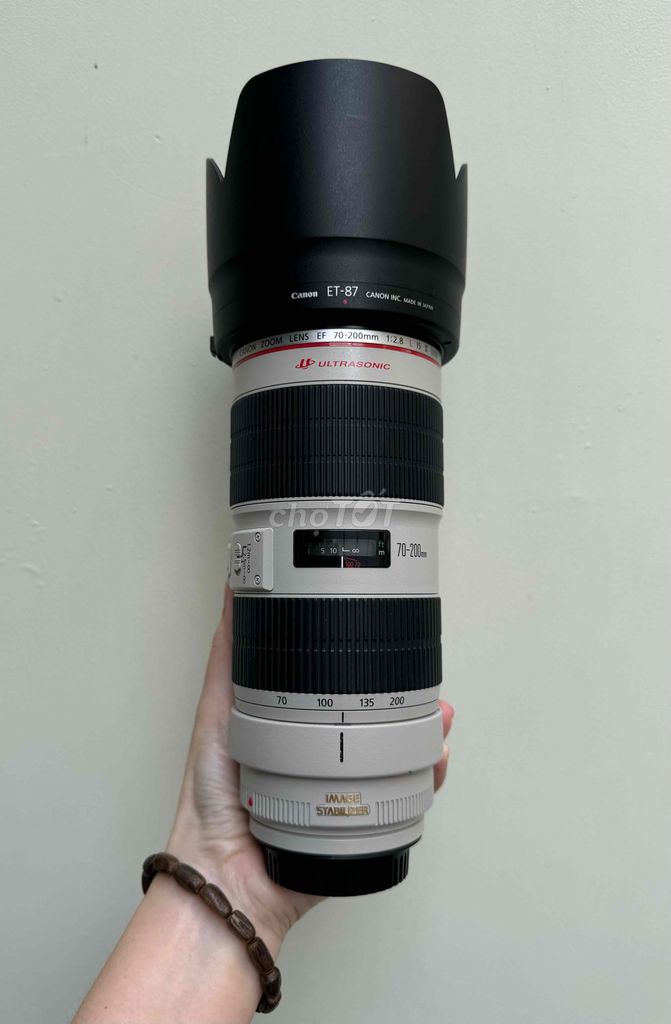 Canon EF 70-200mm F2.8 L IS II USM rất đẹp nét.