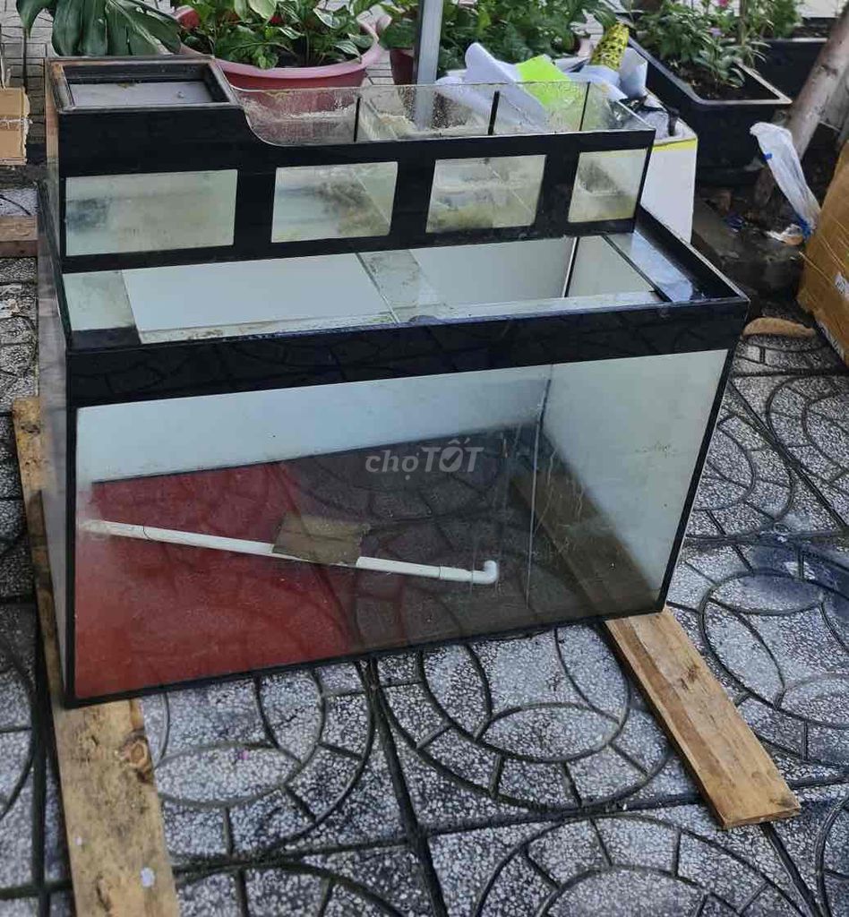 Bể cá cảnh kính 80x40x50cm rất mới. Mua bán Phụ kiện, Thức ăn, Dịch vụ tại Thành phố Rạch Giá Kiên Giang được đăng bởi Khuong Duy Nguyen hình 1